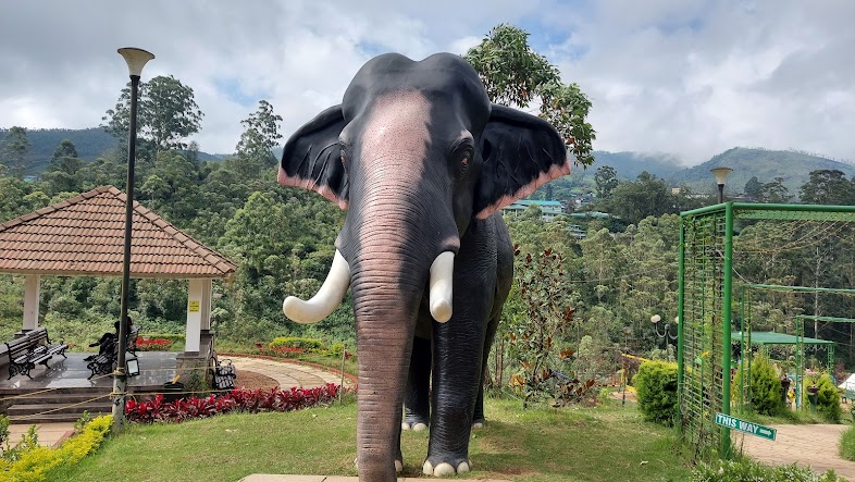 botanical garden munnar